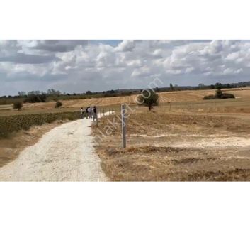 Kırklareli Merkez Kayalı Köyü Tarla Satışlarımız M2 Fiyatı 1300tl