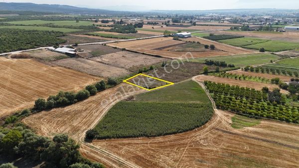 Trust365'den Mudanya Çekrice'de Satılık Tarla