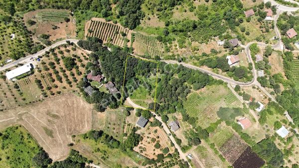 Trust 365'den Kestel / Şevketiye'de Satılık Tarla