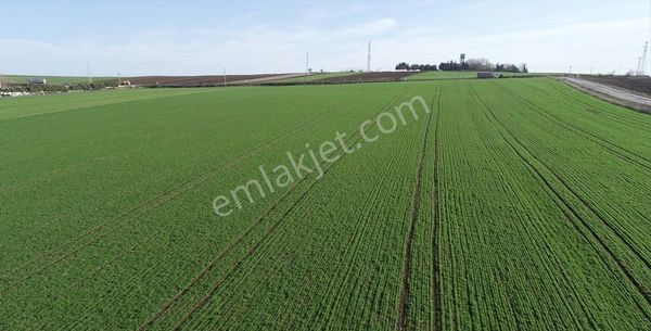 Hasankendi Köyünde 75 Dönüm Sulu Kırmızı Topraklı Tarla