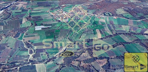 Yenice Üçkabaağaç'da 3.813 M² Satılık Tarla