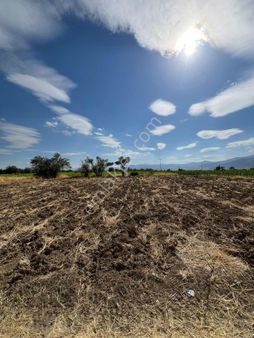 Net Premium'dan Serinhisar Yatağan Da Satılık Hobi Bahçesi