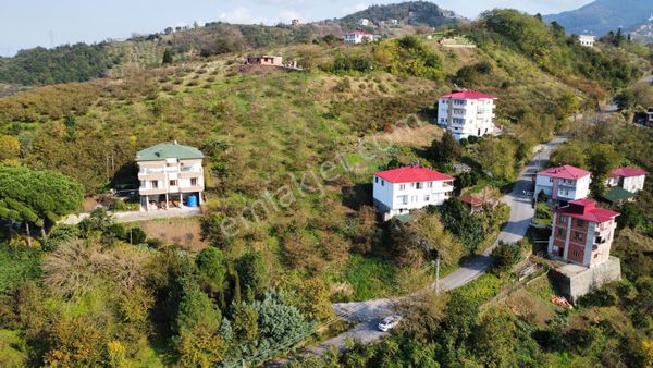Trabzon Vakfıkebir'de Satılık Arazi