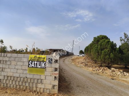 Suboğazda Yüksek Konumda Havada Bağevi