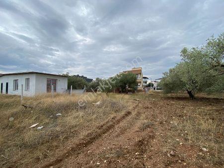 Akhisar Cumhuriyette Efemden Kat Karşılığı 380 M2 Arsa!!