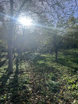 Kartepe Balaban Mahallesinde Doğa İçerisinde Satılık Tarla