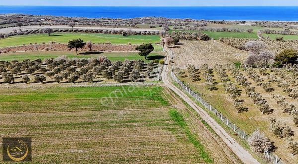 Çanakkala Ayvacık Kösedere Termal Turizm İmarlı Satılık Tarla
