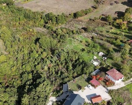 Turyap'tan;yalova Safran Köyünde, Satılık, 1214 M2 Bağ Arazisi