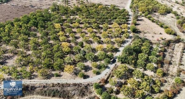 Turyap Metropol'den Fırıncı'da Satılık Bahçe