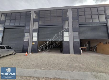 Turyap Metropol'den Devren Kiralık Kayısı Üretim Tesisi