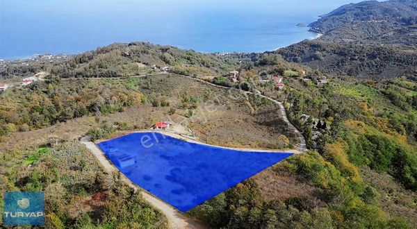 Yason'da Yola Çift Cepheli Parselenebilir Satılık 8410 M2 Arsa