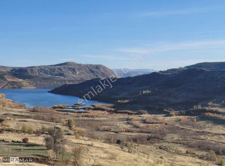 Miramar'dan Sivas Merkez Kolluca Köyü Satılık Tarla