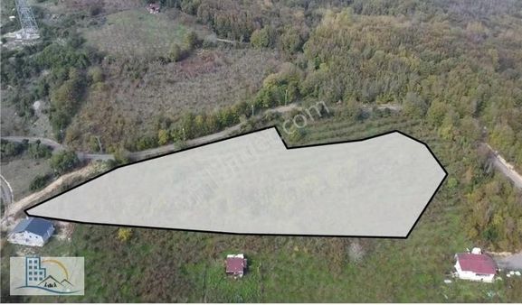 Şile Gül Emlkatan Kadı Köyde Satılık Fındıklık 8560 M2