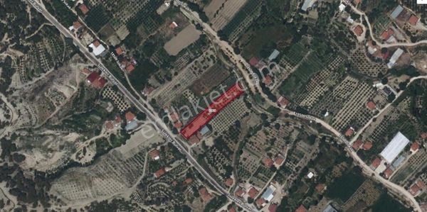 Korkuteli Sülekler'de Ana Yola Cephe Meyve Bahçesi 2243 Metrekare Meyve Ağaçları Dolu