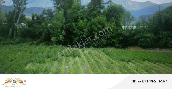 Amasya Mecitözü Çorum Yolu Üzerinde Ana Yola Cephe Bağ