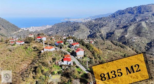 Özden Gayrimenkul'den Boztekke'de Satılık Fındık Bahçesi