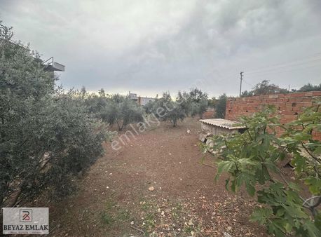 Beyaz Emlaktan Kevşirlerde Köy İçinde İmarlı 743 M2 Arsa