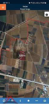 Dilbeyan Köyünde Satılık Tarla Gezer Emlak Tan