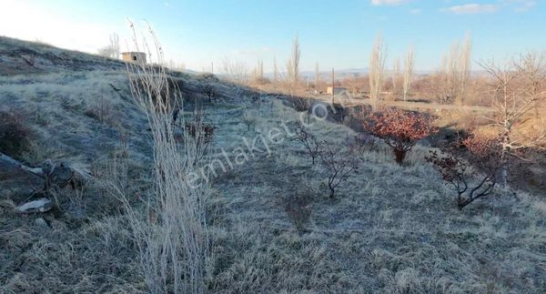 Ürgüp Karakayada 2 Adet Satılık Muhteşem Konumlu Tek Tapu Bağ