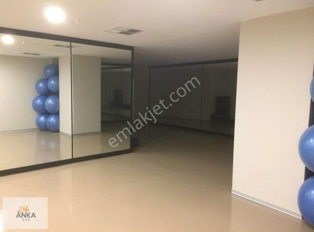 Venezia'da Şehir Mnz Temiz Oturuma Hazır Boş Satılık 2+1 Daire