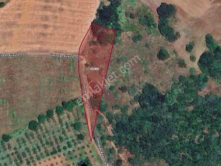 Bursa Kestel Ümitalanda Otoyola Yakın Satılık Tarla