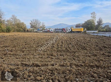 Çitlide Ankara Asfaltına Çok Yakın Yatırım Değeri Yüksek Tarla