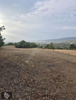 Kurşunluda Yatırımlık Uygun Fiyat Tarla