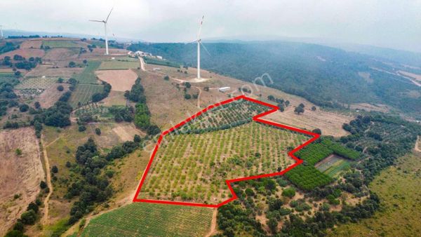 Yarış'da Yatırımlık "göl Manzaralı" Ceviz-badem Ağaçlı Tarla