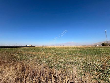 Öz Gaye Emlaktan Develi Gaziköy Karayer Mevkiinde Satılık Tarla