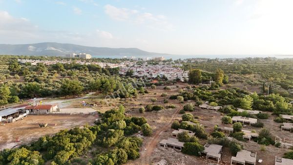 Didim Fevzipaşa Da Satılık Müstakil Arsa
