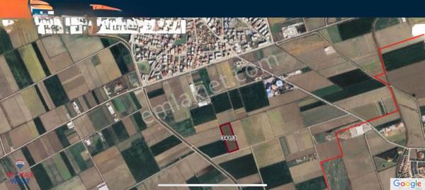 İzmir Menemen Seyrek Te Kadastral Yola Cepheli Satılık Tarla