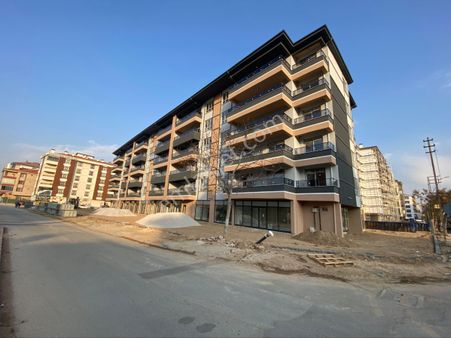 Mengene Cd Sinde Sıfır Arakat Daireler