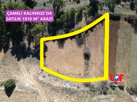🦋lobby Fortis'ten Satılık Çameli Kalınkoz'da 1810 M² Kupon Arazi🦋