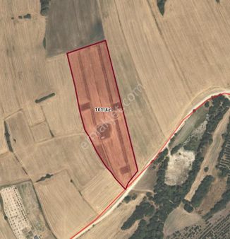 Yuvakurdan Çerkerköy Mh Tepe Mevki Yatırım Fırsatı Kaçmaz Fiyat