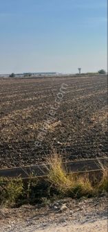 Yeni Havaalanı Civarı Yatırımlık Acil Satılık Arazi