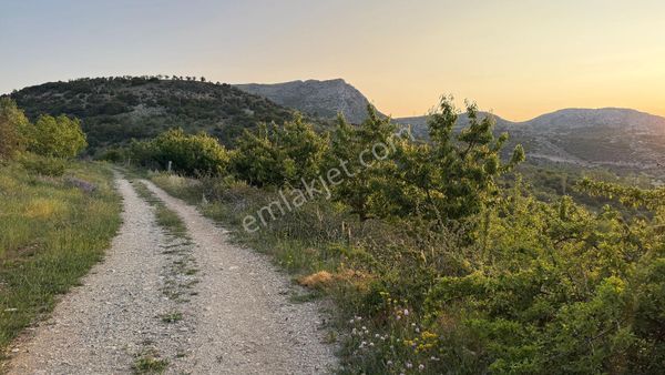 Kiraz Meyve Bahçesi 12 Dönüm Isparta Uluborlu