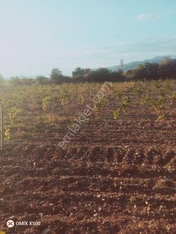 Tokat Erbaa Yoldere De 2800 M2 Tek Arazi