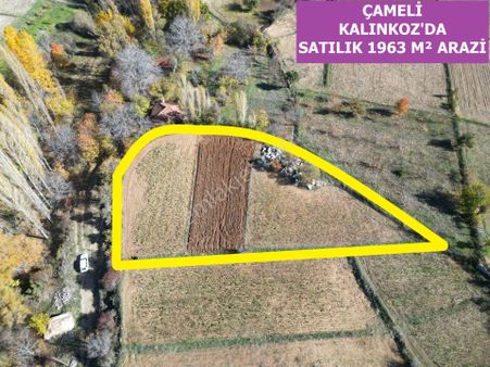 🦋lobby Fortis'ten Satılık Çameli Kalınkoz'da 1963 M² Süper Arazi🦋