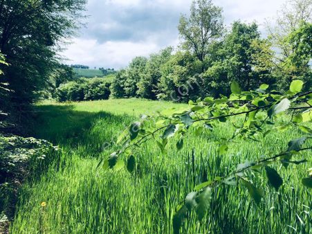 Kandıra Seyyitaliler'de 1.729m2 Resmi Yolu Müstakil Tapulu Arazi