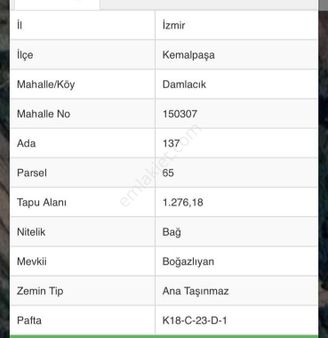 Kemalpaşa Damlacık Köyün'de Ana Yol Cepheli Kirazlık