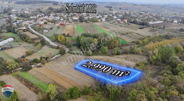 Remax Maviden Salmanlı Da Yatırımlık Fırsat Ceviz Bahçesi