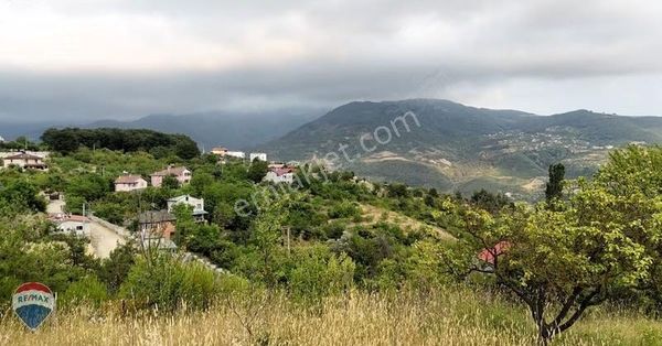 Oksijen Deposu Dağ Köyünde Sağlıklı Yaşama Merhaba Deyin