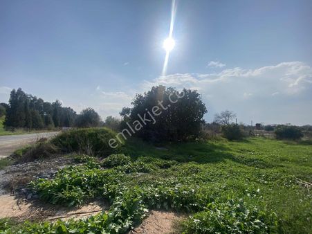 Aydın Efeler Işıklıda Satılık 550 M2 Villa İmarlı Arsa