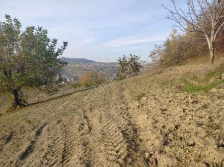 Tig Den Madenköy De Satılık Tarla