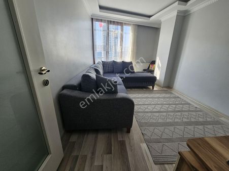 Cadde Üzeri Güneş Alan Aydınlık