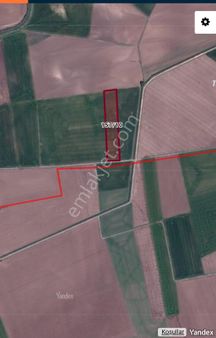 Hilal Akın Emlak’tan Seyitgazi Yenikent’te Satılık Tarla