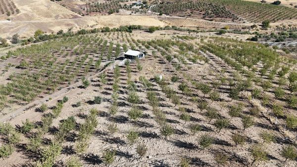 Hakev'den Ana Yola Yakın Mesafede Bahçe Satılıktır