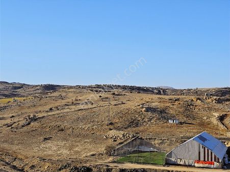 Hakev'den İmara Sınır Halısaha Bitişiğinde Tarla