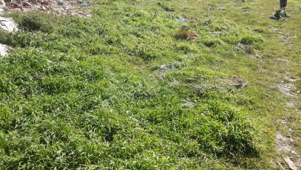 Çatalca Kızılcaalide 2,450m Satılık Düşeş Kazandıracak Arsa No:418