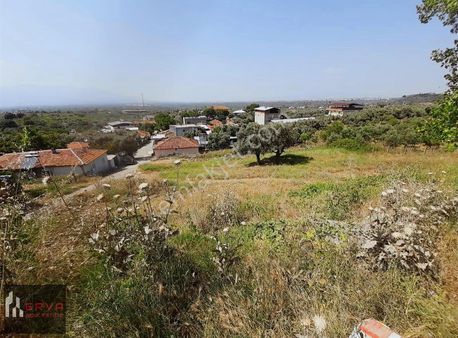 Kemalpaşa Da Acil Satılık Fırsat Arsa